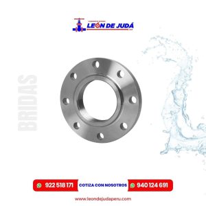 Brida de Acero Inoxidable